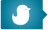 neob twitter
